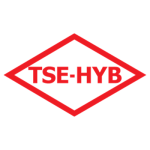 tse hyb logo daygaseu